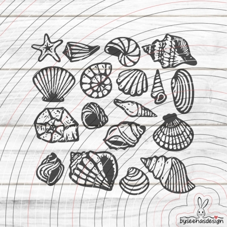 Muscheln Plotterdatei SVG DXF 