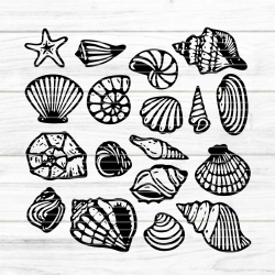 Muscheln Plotterdatei SVG DXF FCM Muscheln Plotterdatei SVG DXF FCM