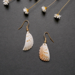 Muschel-Ohrhänger