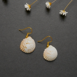 Muschel-Ohrhänger