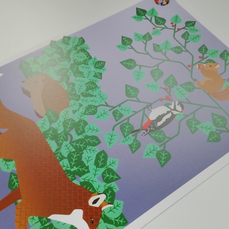 3 Postkarten Set A5 Animal Guide Berlin Grafikdesign Urban Nature