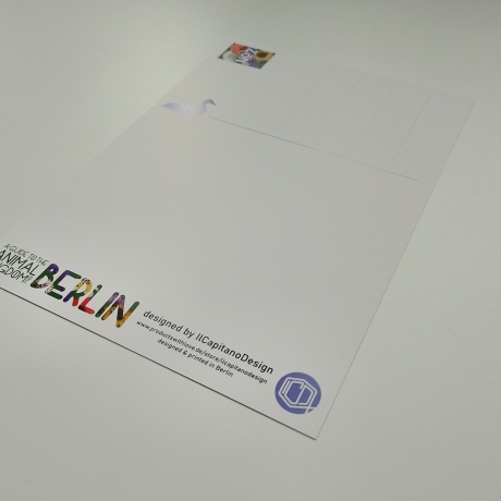 3 Postkarten Set A5 Animal Guide Berlin Grafikdesign Urban Nature