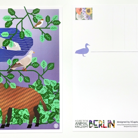 Postkarte A5 Animal Guide #2 Berlin Grafikdesign Urban Natur Tier