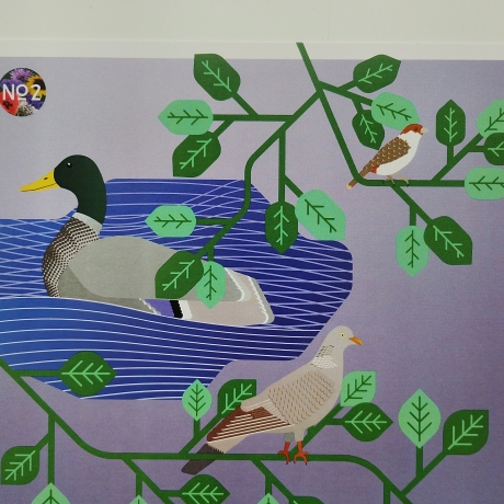 Postkarte A5 Animal Guide #2 Berlin Grafikdesign Urban Natur Tier