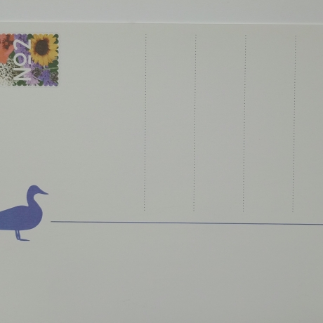 Postkarte A5 Animal Guide #2 Berlin Grafikdesign Urban Natur Tier