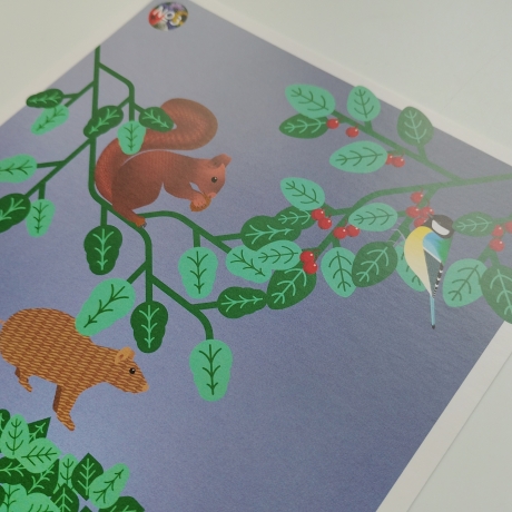 3 Postkarten Set A5 Animal Guide Berlin Grafikdesign Urban Nature