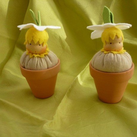 Narzissenkeimling im Tontöpfchen