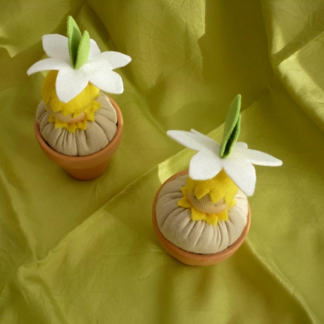 Narzissenkeimling im Tontöpfchen