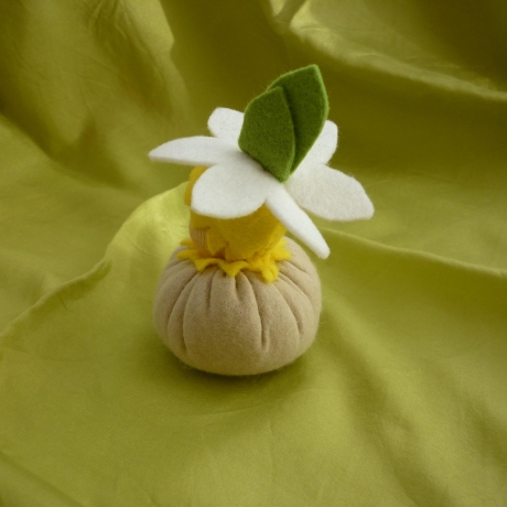 Narzissenkeimling im Tontöpfchen