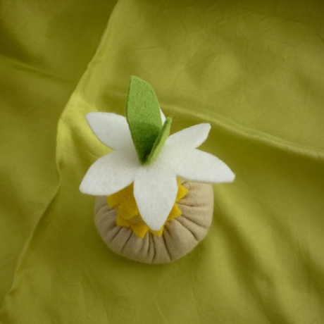 Narzissenkeimling im Tontöpfchen