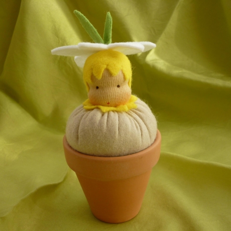 Narzissenkeimling im Tontöpfchen