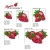 Stickdateien Erdbeeren Set mit 5 Dateien