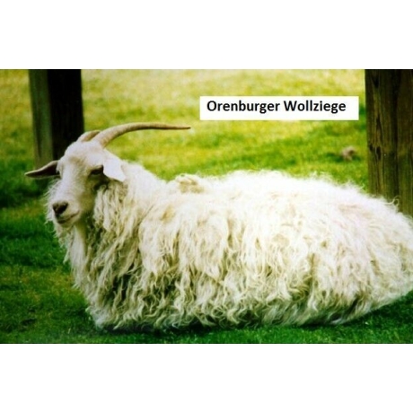 Original Orenburger Damen-Barett, weiss, 52-58 cm, neu