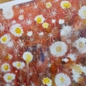 Aquarell ~ Blumen sind die Sterne der Erde