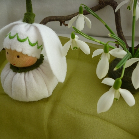 Schneeglöckchen klein