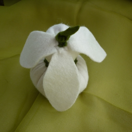 Schneeglöckchen klein