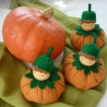 Kürbispüppchen