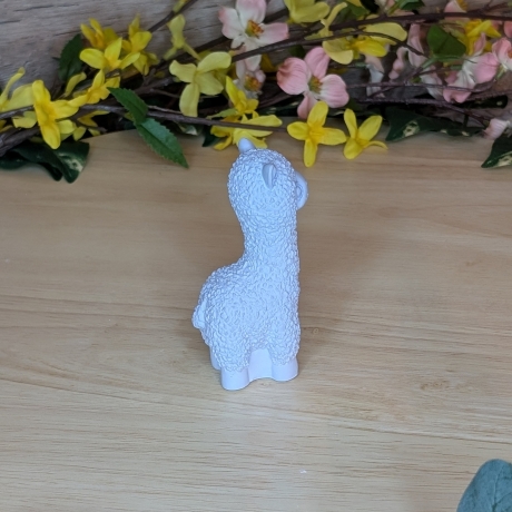 Lama