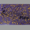 Lieblings-Platz lila