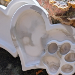 Ein Herz für Pfoten - dekorative Schale für Pfotenliebhaber*innen