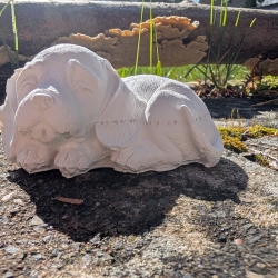 Ruhepol: schlafender Hund