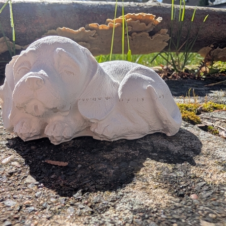 Ruhepol: schlafender Hund