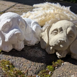 Ruhepol: schlafender Hund