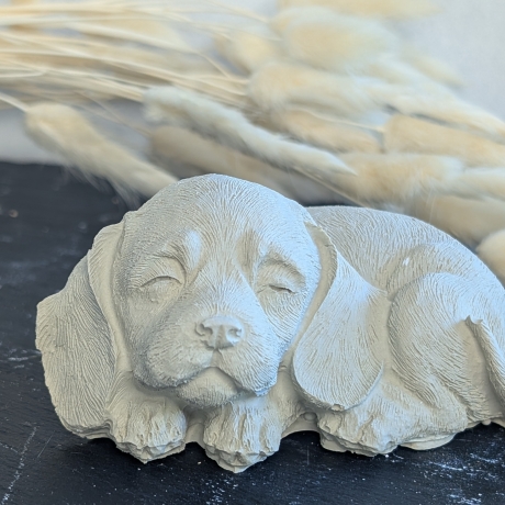 Ruhepol: schlafender Hund