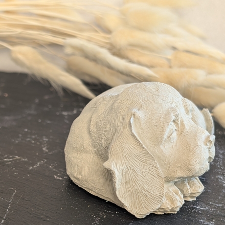 Ruhepol: schlafender Hund