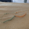 Makramee Armband bunt - Kreuzknoten oder Spiralknoten