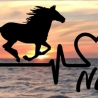 Aufkleber Herzlinie Heartbeat Pferd 1
