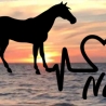 Aufkleber Herzlinie Heartbeat Pferd 2