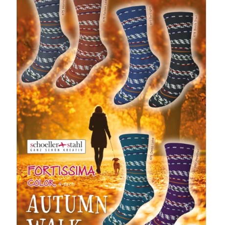Fortissima color Autumn Walk 4-fädige Sockenwolle 100g
