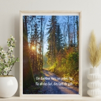 Poster A4 – Gottes wundervolle Schöpfung - Weg im Wald