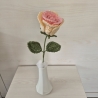 Rose - rosa/weiß (Häkelblume)