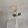 Rose - rosa/weiß (Häkelblume)