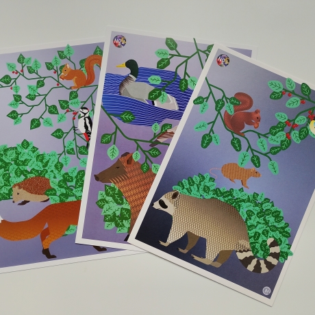 3 Postkarten Set A5 Animal Guide Berlin Grafikdesign Urban Nature