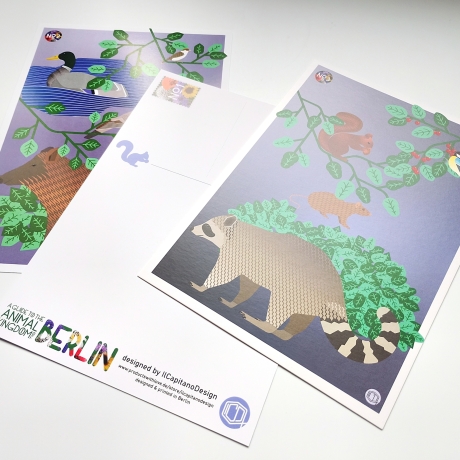 3 Postkarten Set A5 Animal Guide Berlin Grafikdesign Urban Nature
