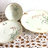 Vintage Sammeltasse Wiesenblumen von R Bavaria 50er Jahre