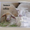 Grußkarte, Aufmunterungskarte mit Foto Schafe