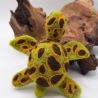 Schildkröte