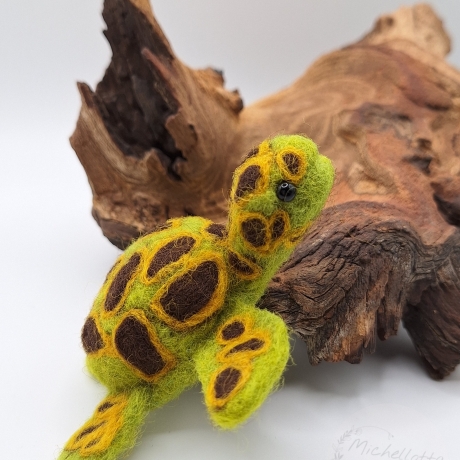 Schildkröte
