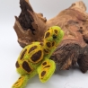 Schildkröte