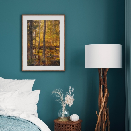 Fotografie Moor Wald - FineArt Druck