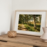 Fotografie Birken Allee - FineArt Druck