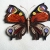 Schmetterling Tagpfauenauge, bunt, festes Papier,