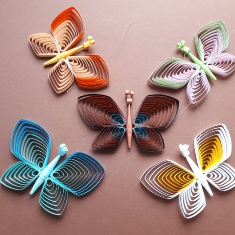 Sortiment mit 5 verschiedenfarbigen Schmetterlingen