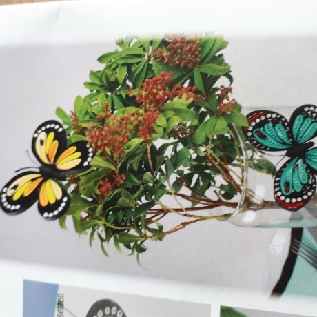 1 Schmetterling, verschiedene Farben, bunt, festes Papier,