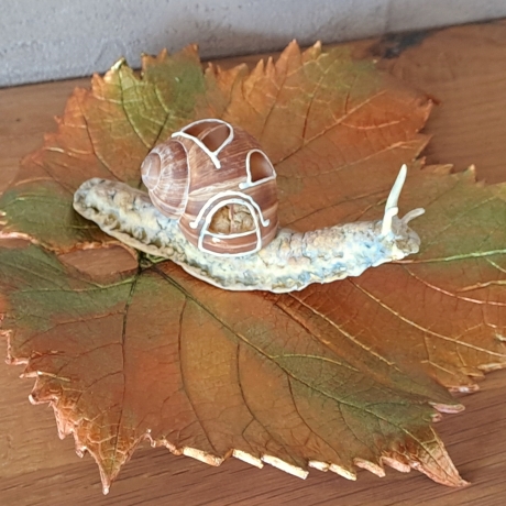 Schnecke mit Schneckenhäuschen Dekoration Unikat Weinbergschnecke