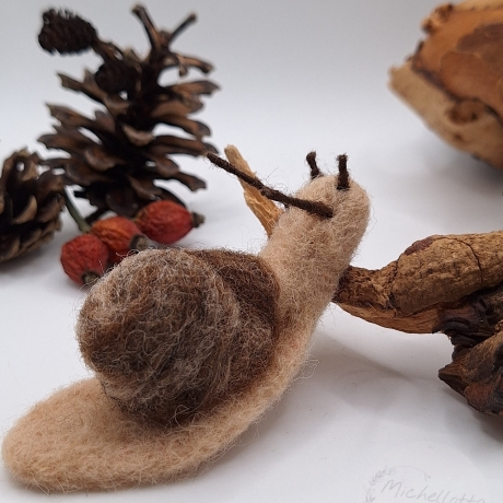Schnecke